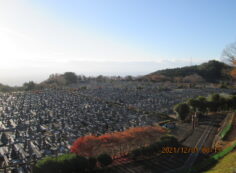 11区1番墓所から（南向き）風景