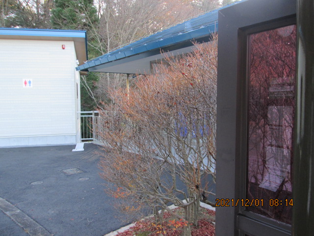 北口バス停・（ドウダンつつじ）