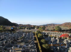 11区7番墓所から（南西向き）風景