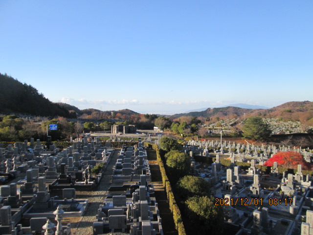 11区7番墓所から（南西向き）風景