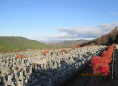 11区7番墓所から（北向き）風景