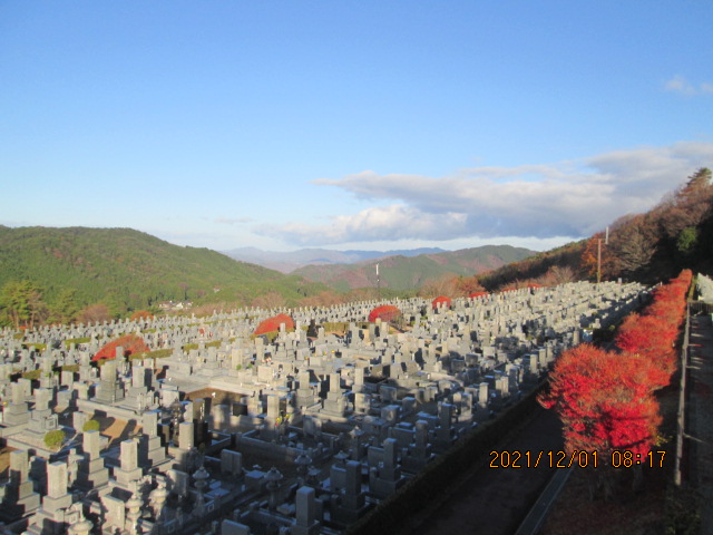 11区7番墓所から（北向き）風景