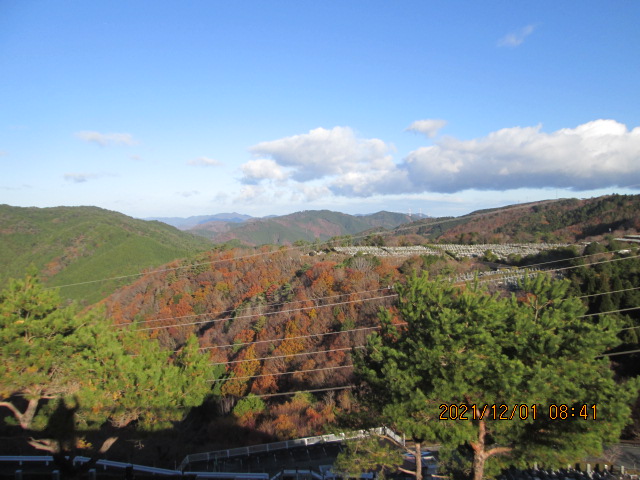 8区4/5番枝道から（北向き）風景