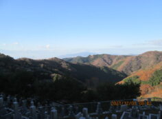 8区4/5番枝道から（南西向き）風景