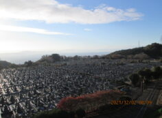 11区1番墓所から（南向き）風景