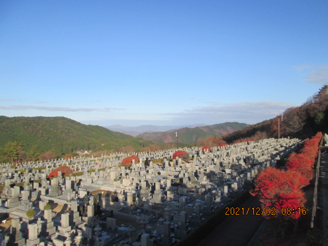 11区7番墓所から（北向き）風景