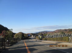 バス通りモニュメント方向風景