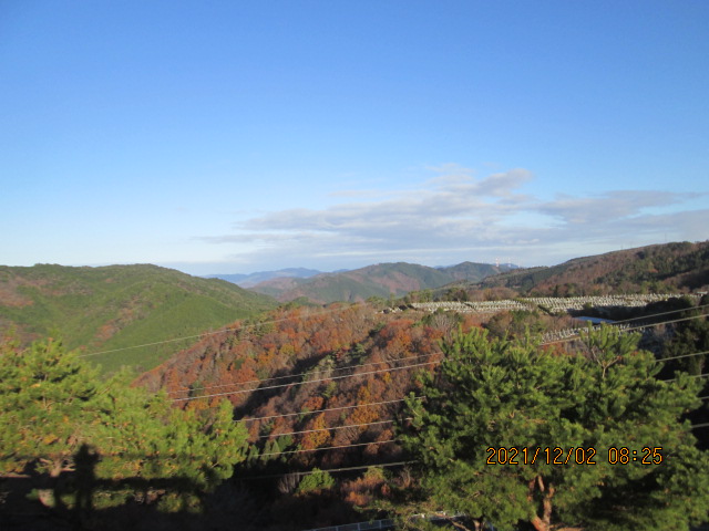 8区4/5番枝道から（北向き）風景