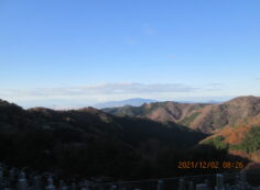 8区4/5番枝道から（南西向き）風景