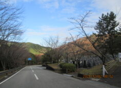 バス通り・5区1番墓所風景