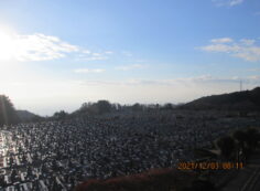 11区1番墓所から園内（南）風景