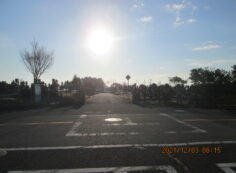 バス通り（東向）1区4/6番墓所入口