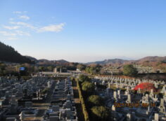 11区7番墓所から（南西向き）風景