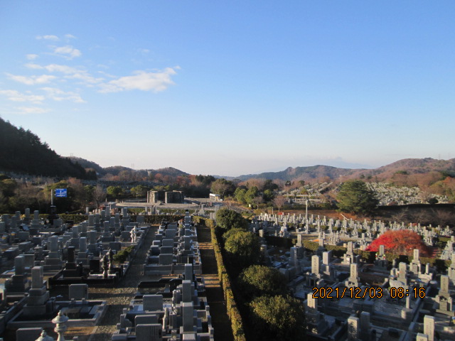11区7番墓所から（南西向き）風景