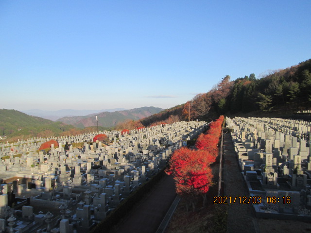 11区7番墓所から（北向）風景