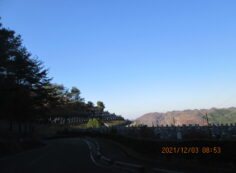 8区4/5番墓所枝道入口からの風景