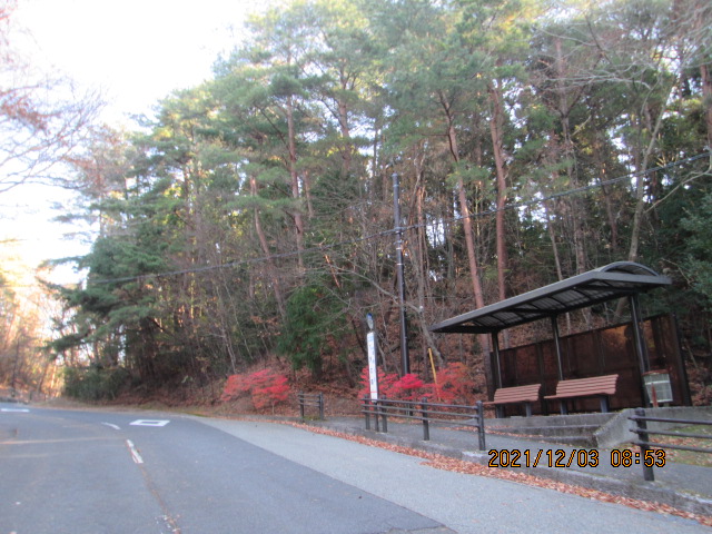 バス通り・八天の森バス停