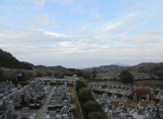 11区7番墓所から（南西向）風景