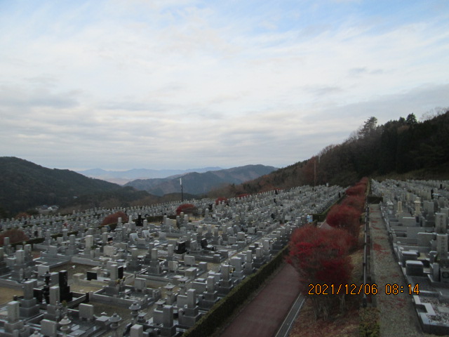 11区7番墓所から（北向）風景