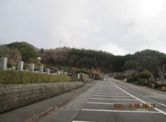 バス通り（北東方向）北口風景