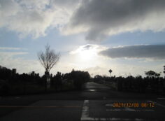 バス通り（東方向）1区4/5番墓所入口