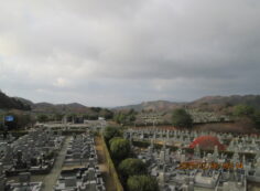 11区7番墓所から（南西向）風景