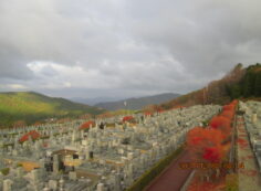 11区7番墓所から（北方向）風景