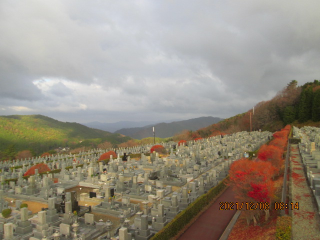 11区7番墓所から（北方向）風景