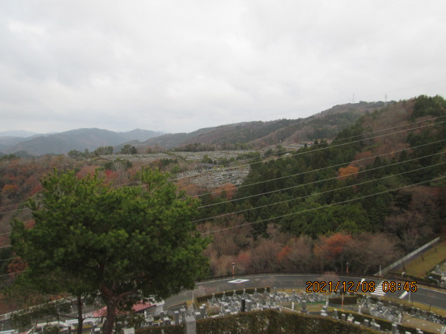 8区4/5番枝道から（北方向）