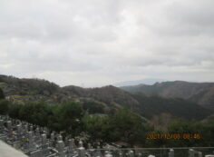 11区7番墓所から（南西向き）風景