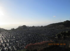 11区1番墓所から園内（南）風景