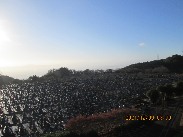 11区1番墓所から園内（南）風景