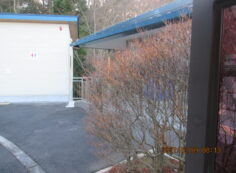 北口バス停ロータリー（ドウダンつつじ）