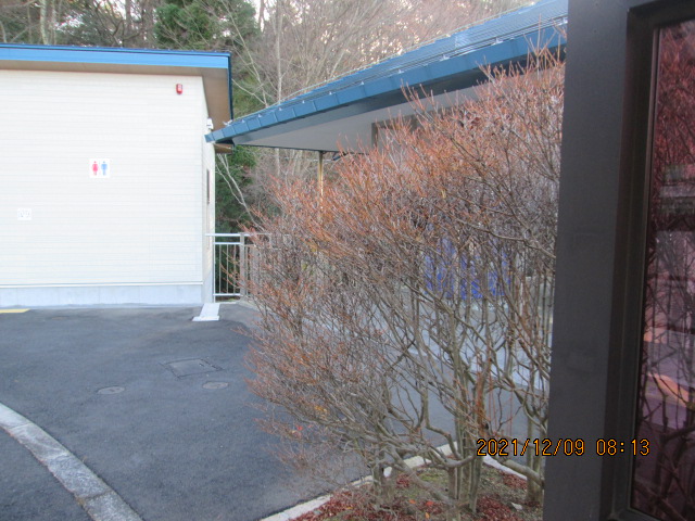 北口バス停ロータリー（ドウダンつつじ）