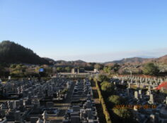 11区7番墓所から（南西向き）