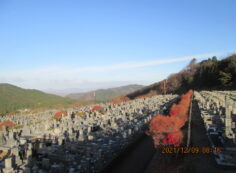 11区7番墓所から（北向）