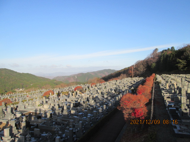 11区7番墓所から（北向）