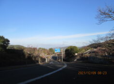 バス通り・八天の森～モニュメント方向