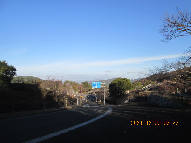 バス通り・八天の森～モニュメント方向