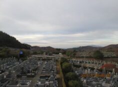 11区7番墓所から（南西方向）