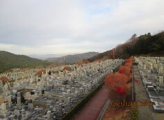 11区7番墓所から（北方向）