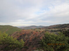 8区4/5番枝道から（北方向）