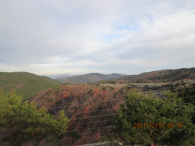 8区4/5番枝道から（北方向）