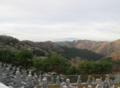 8区4/5番墓所枝道から（南西方向）