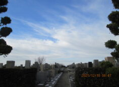 3区6番墓所から（南西方向）