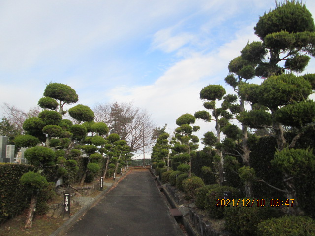 3区4/6番墓所から（北方向）