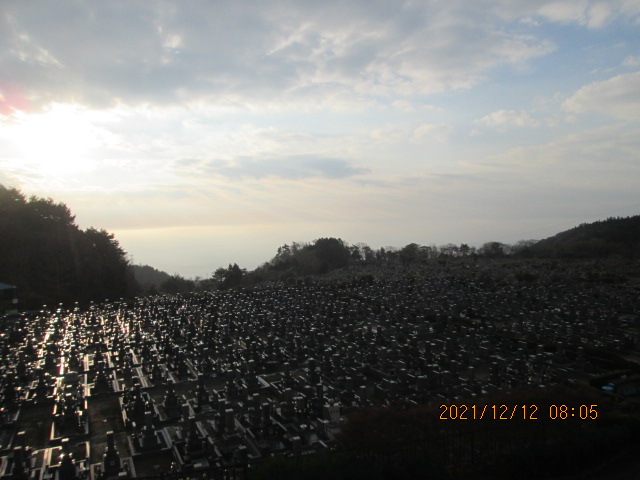 11区1番墓所から園内（南方向）