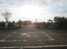 バス通り（東向）1区4/6番墓所入口