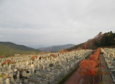 11区7番墓所から園内（北）風景