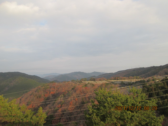 8区4/5番墓所枝道から（北）風景